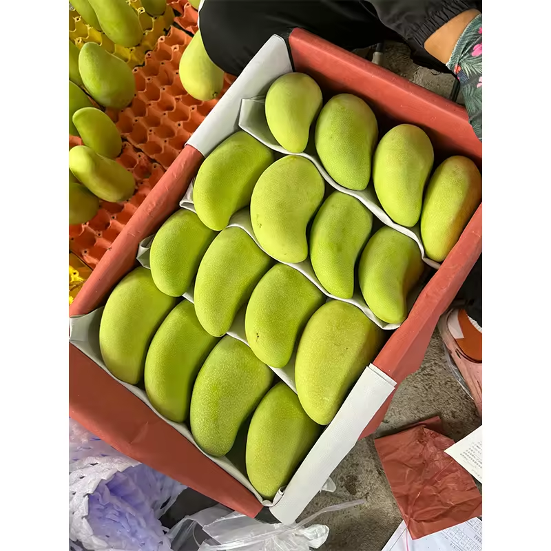 Fresh Alphonso Mango